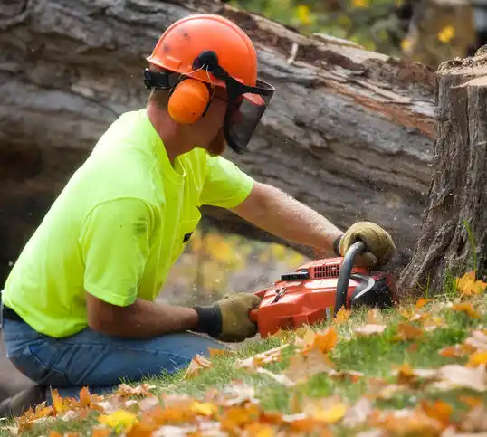 tree services Lake Tomahawk